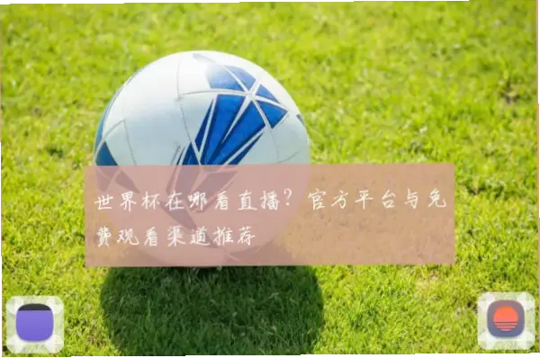 今日足球直播在线观看免费渠道推荐