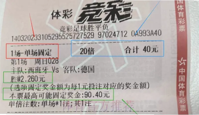 世界杯彩票玩法有哪些常见类型?